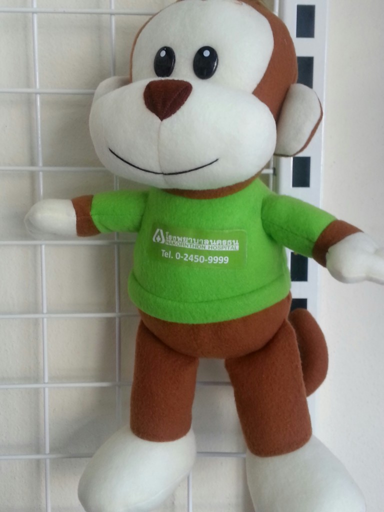 nakornthon monkey